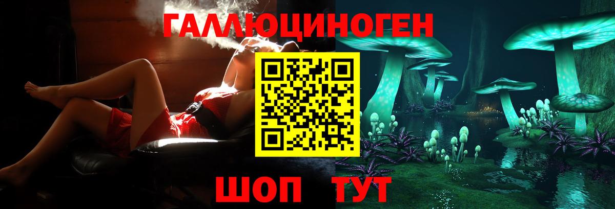 Галлюциногенные грибы мухоморы Майский